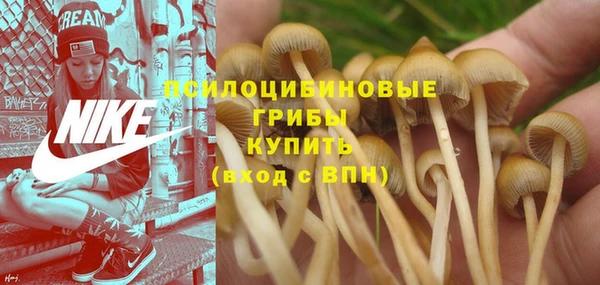 хмурый Медвежьегорск