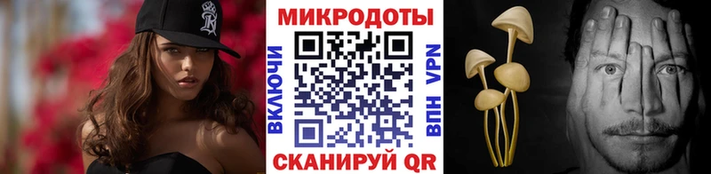 как найти наркотики Барнаул Галлюциногенные грибы мицелий